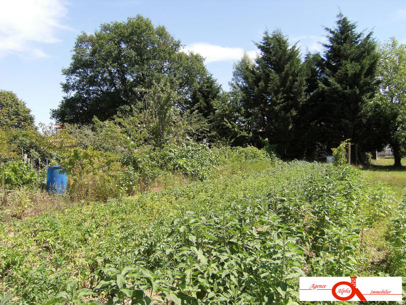 Maison ancienne - 150 m² - 5 pièces