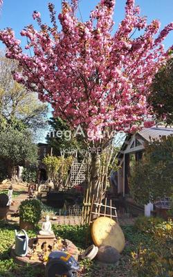 Châlet - 90 m² - 3 pièces