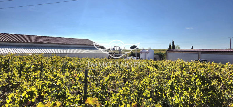 Mas - 240 m² - 13 pièces