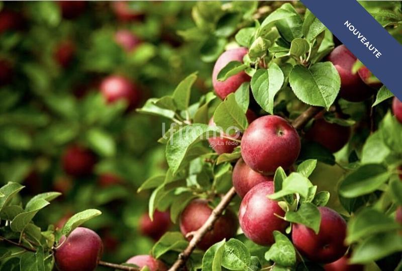 Terrain de loisirs - 900 m²