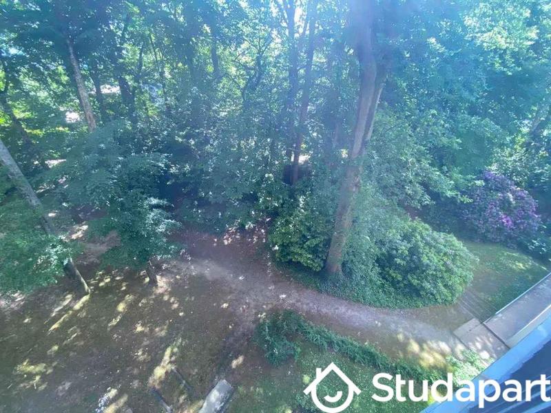 Chambre - 14 m² - 1 pièce