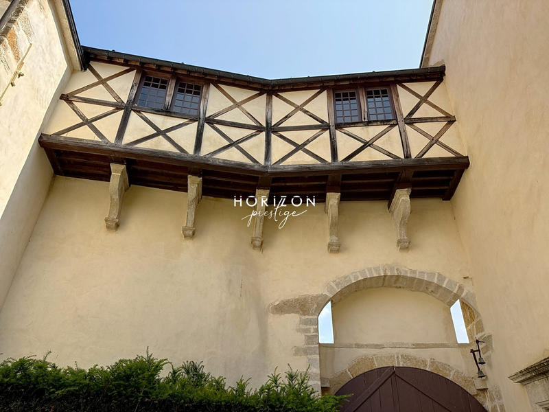 Château - 1 500 m² - 20 pièces