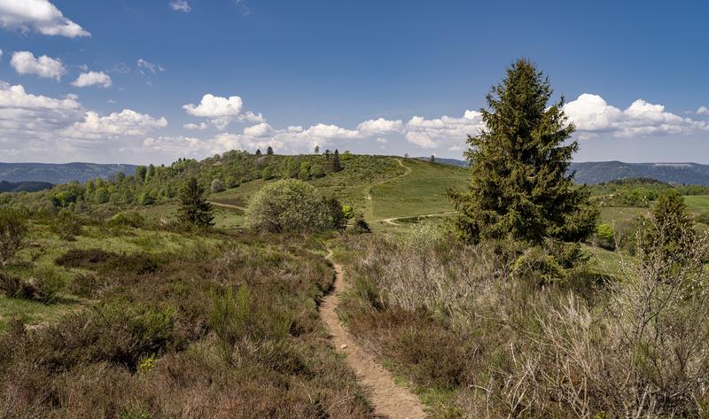 Sentiers Plaisir : Solbach et le Mont Saint Jean