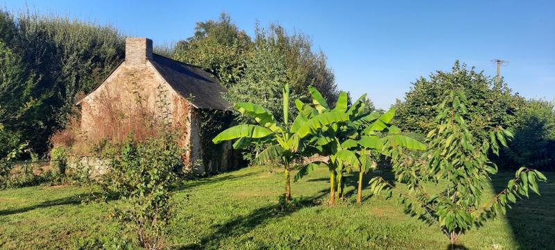 Maison - 190 m² - 9 pièces