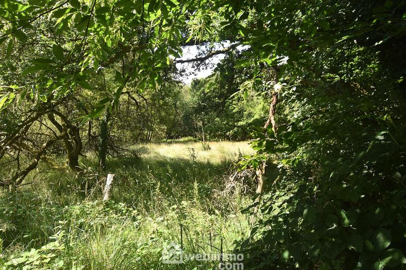 Ferme - 201 m² - 10 pièces