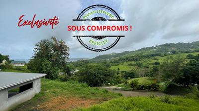 Terrain constructible - 1 329 m²