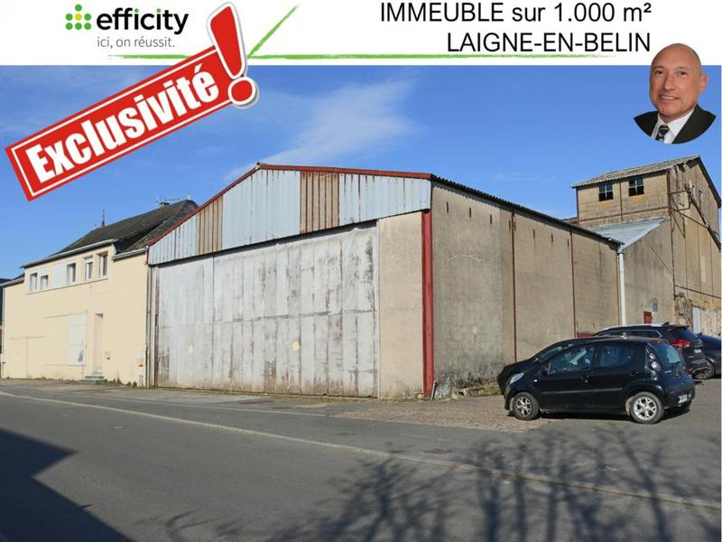 Immeuble - 1 000 m²