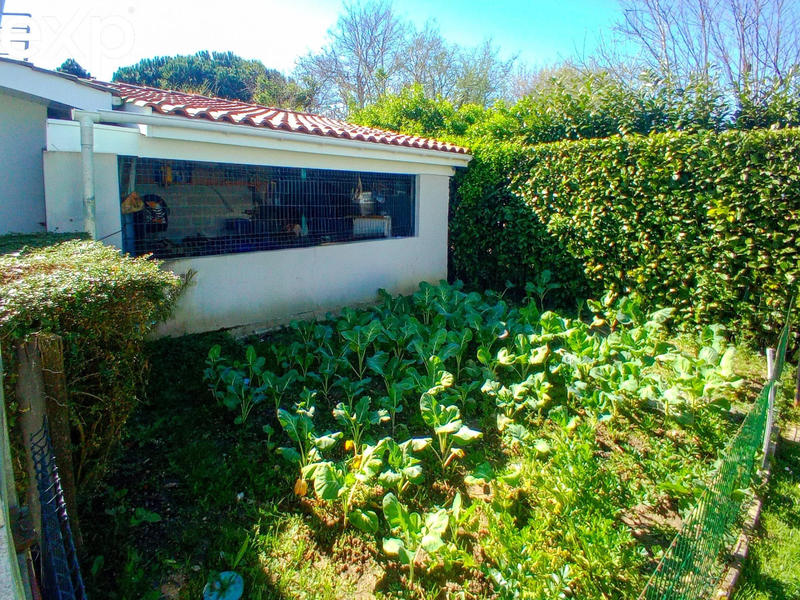 Maison - 120 m² - 4 pièces