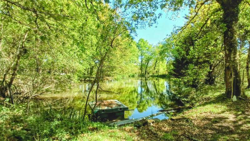 Maison chambre d'hôtes - 230 m² - 7 pièces