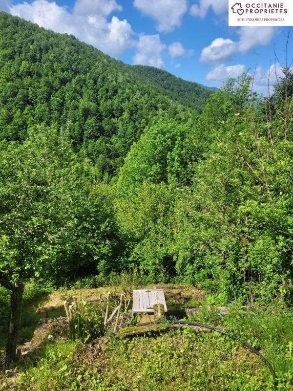 Maison en pierre - 78 m² - 3 pièces