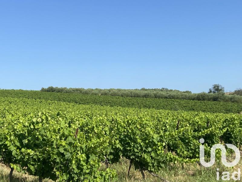 Terrain agricole - 105 426 m²