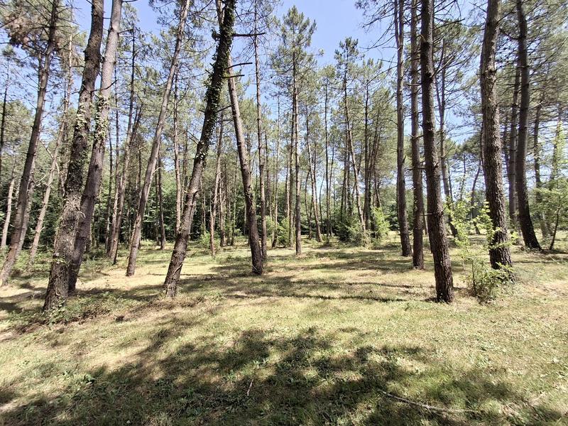 Maison traditionnelle - 173 m² - 2 pièces