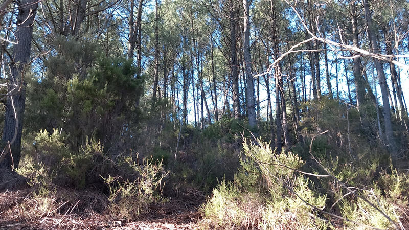 Terrain de loisirs - 31 439 m²