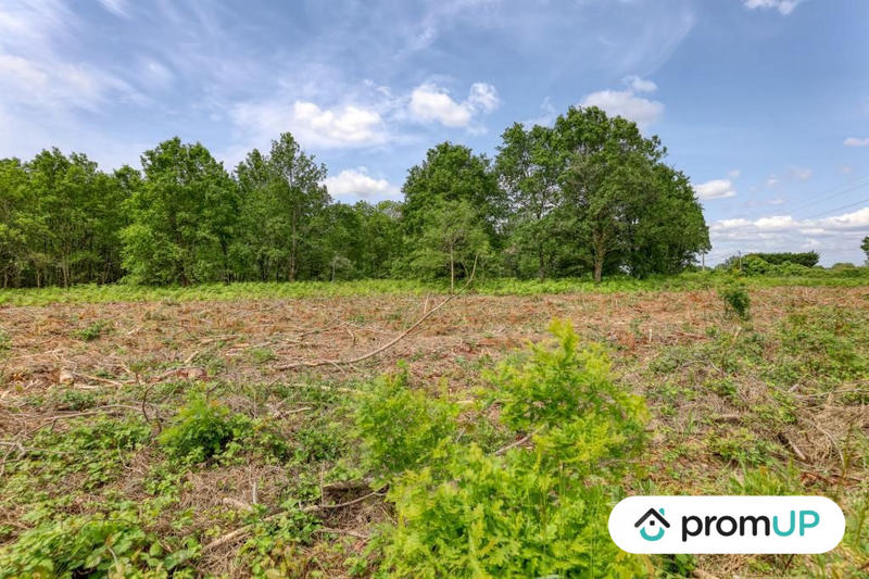 Terrain de loisirs - 4 000 m²