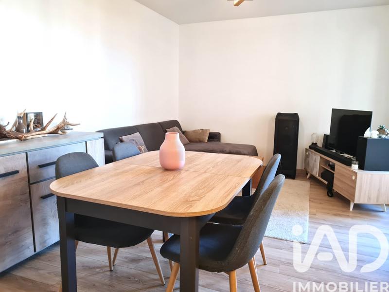Appartement - 55 m² - 2 pièces