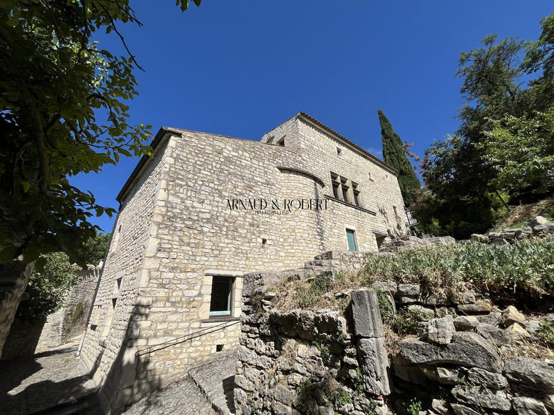 Maison - 450 m² - 10 pièces