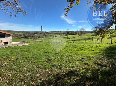 Terrain - 589 m²