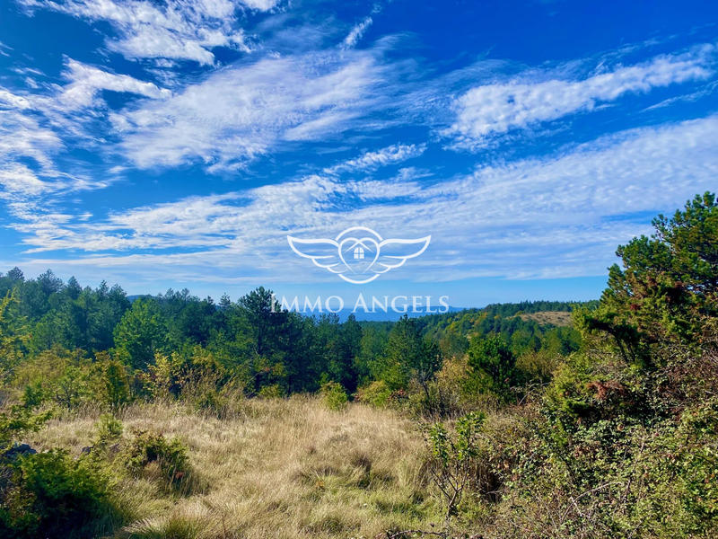 Maison contemporaine - 850 m² - 13 pièces