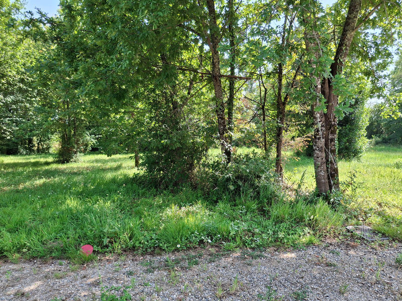 Terrain constructible - 979 m²