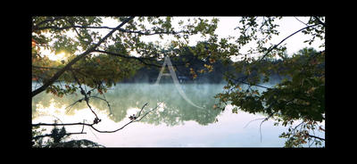 Terrain - 243 800 m²