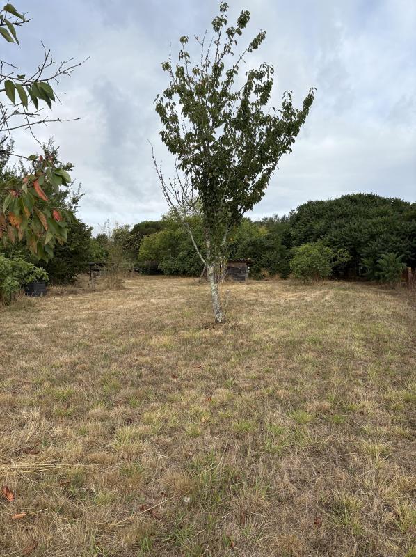 Terrain constructible - 1 661 m²