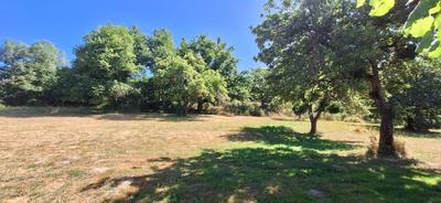 Maison - 84 m² - 3 pièces