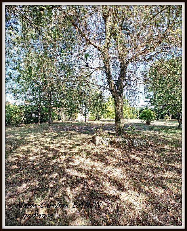 Maison - 450 m² - 10 pièces