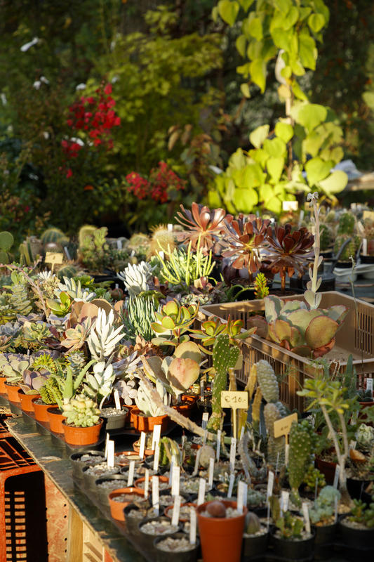 Les Botaniques de Chaumont-sur-Loire