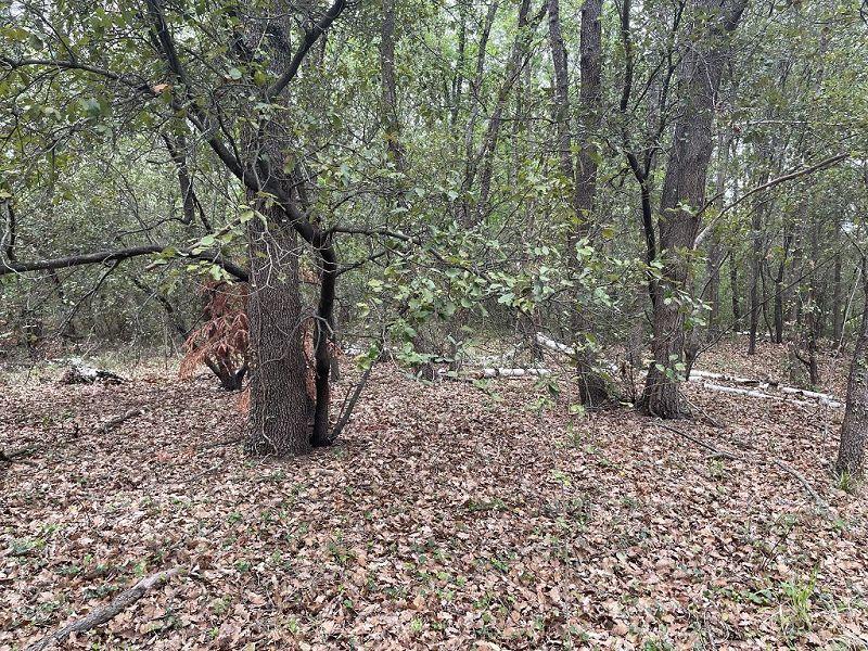 Terrain - 25 400 m²