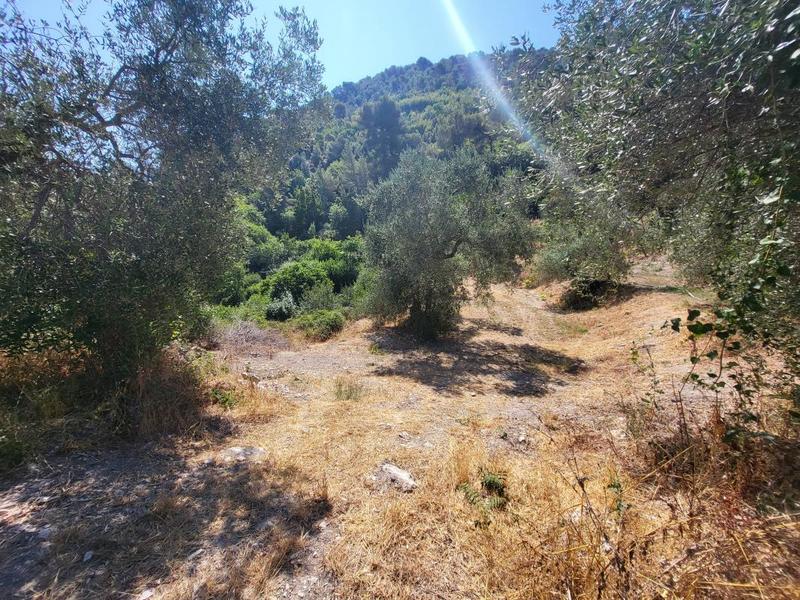 Terrain - 3 964 m²