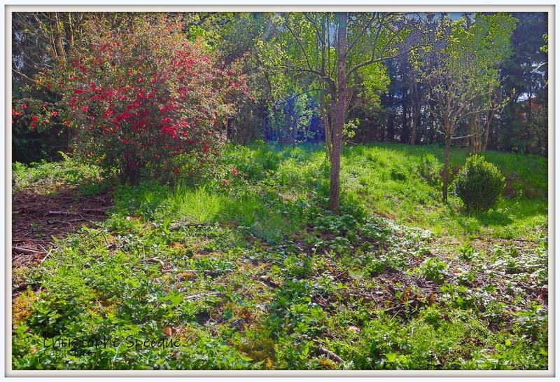 Maison - 143 m² - 6 pièces