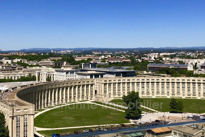 Appartement - 81 m² - 4 pièces