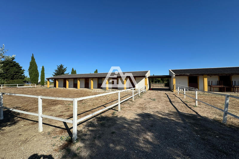 Local commercial - 11 000 m²