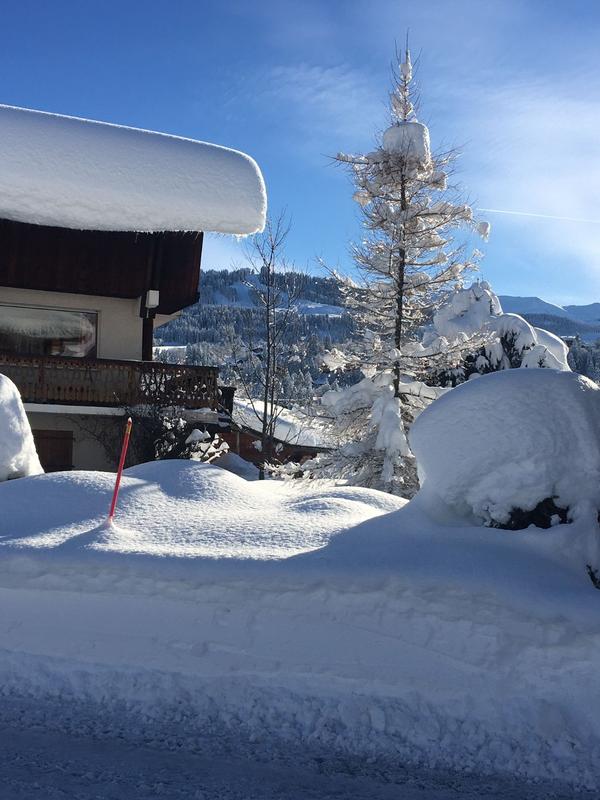 Châlet - 350 m² - 9 pièces