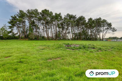 Terrain de loisirs - 946 m²