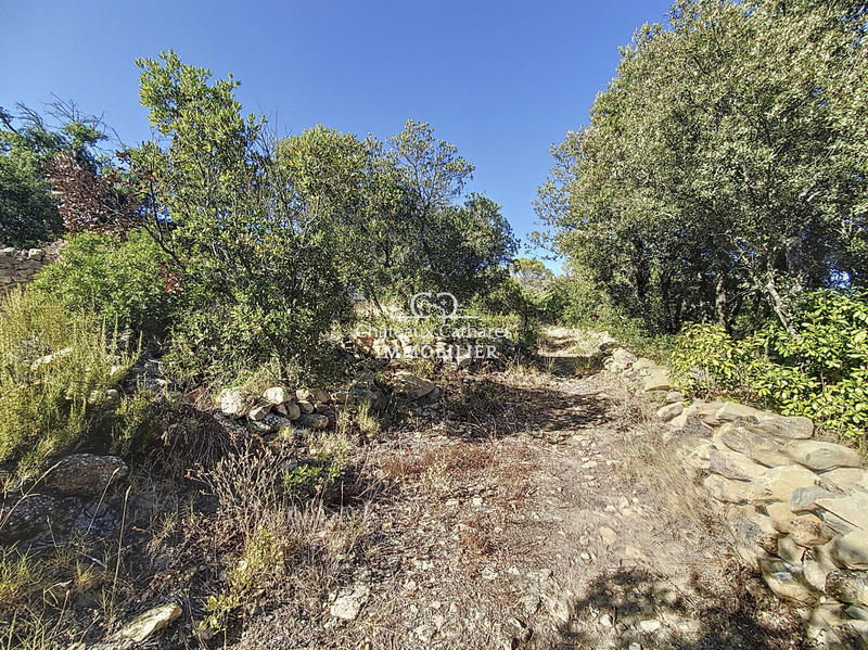 Mas - 99 m² - 3 pièces