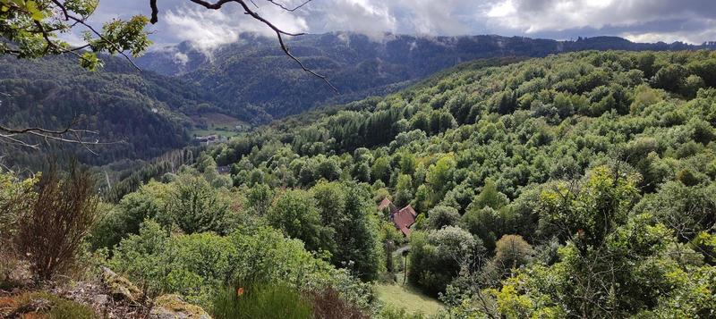 Maison - 182 m² - 11 pièces