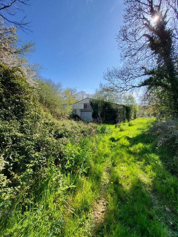 Hangar - 520 m² - 1 pièce