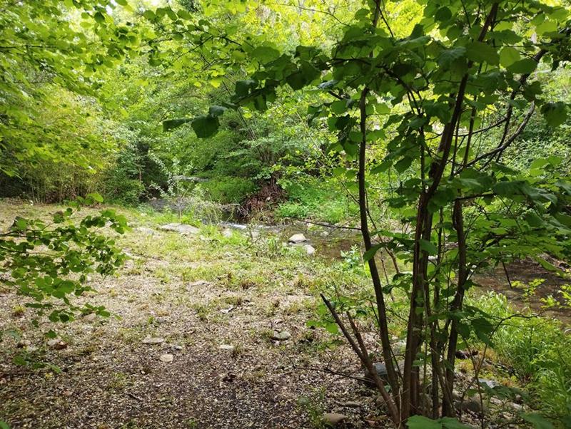 Maison - 147 m² - 7 pièces