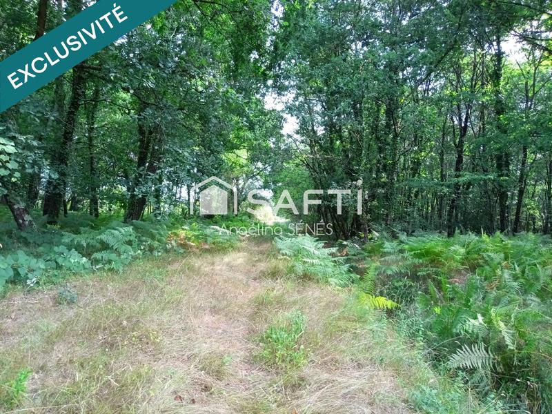 Terrain agricole - 60 000 m²