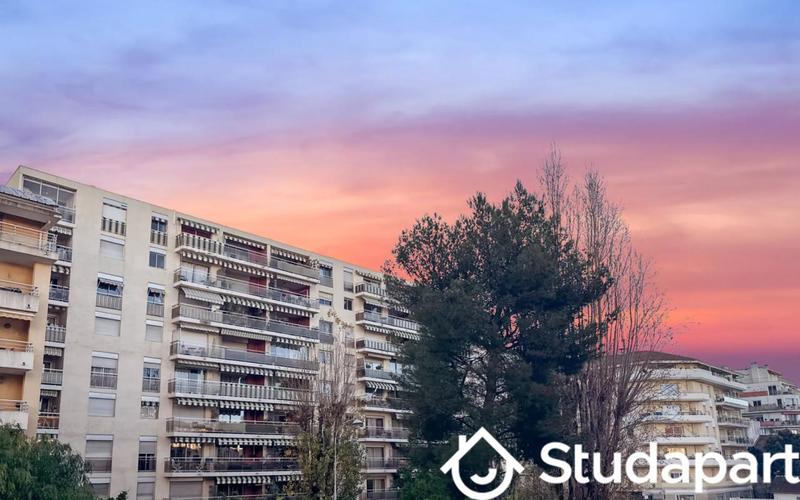 Appartement - 24 m² - 1 pièce