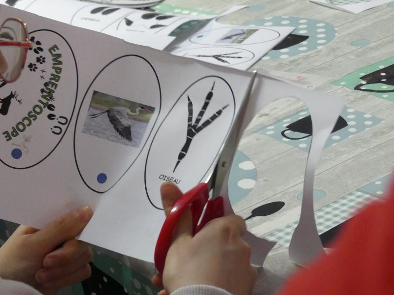 Création d'un empreintoscope à Terres d'Oiseaux