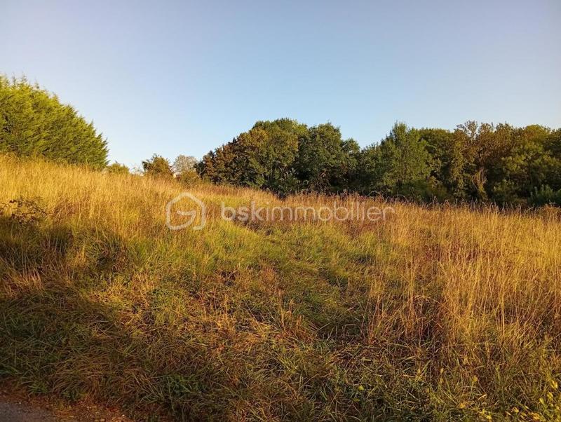 Terrain de loisirs - 2 729 m²