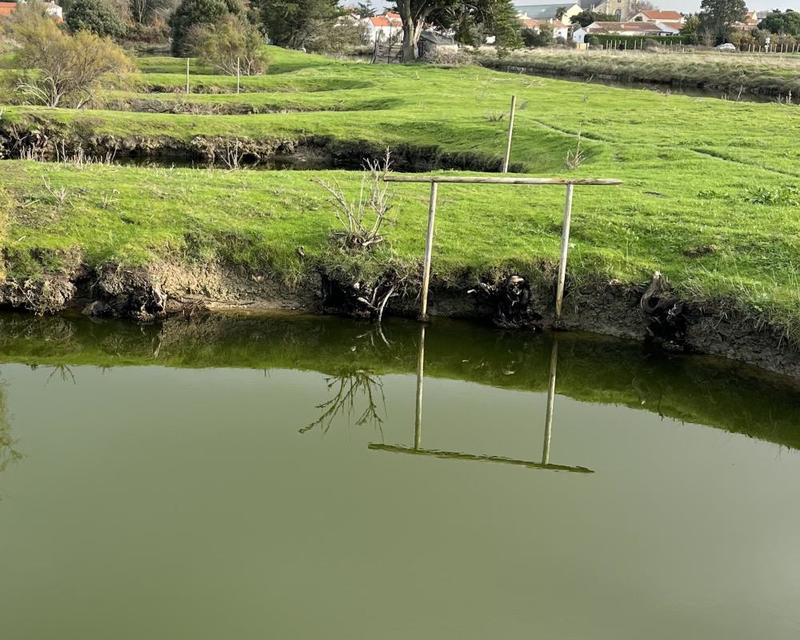 Terrain - 11 140 m²