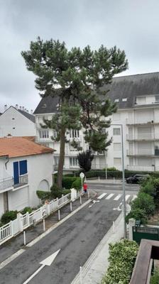 Appartement - 22 m² - 1 pièce