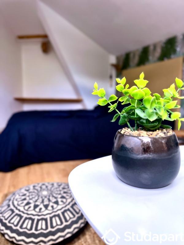 Chambre - 17 m² - 1 pièce