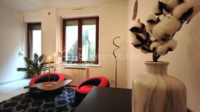 Studio - 43 m² - 1 pièce