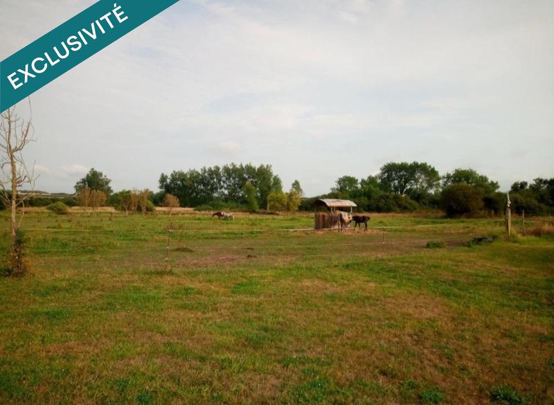 Local commercial - 63 000 m² - 2 pièces