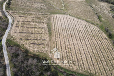 Terrain agricole - 11 155 m²