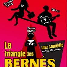 Le Triangle des Bernés de Pascal Daumer - Théâtre du Sphinx- Espace G.Philippe à Nantes